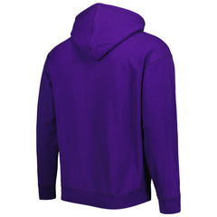 Phoenix Suns Tommy Jeans Bernard Half-Zip Hoodie Discount