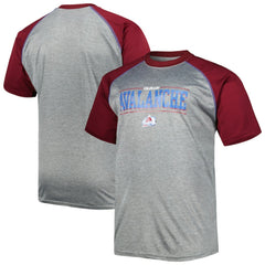 Colorado Avalanche Big & Tall Logo Raglan T-Shirt Online