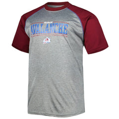 Colorado Avalanche Big & Tall Logo Raglan T-Shirt Online