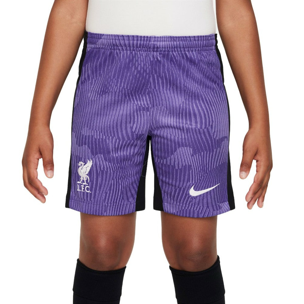 Liverpool Youth 2023/24 Third Stadium Performance Shorts Purple - Nike
