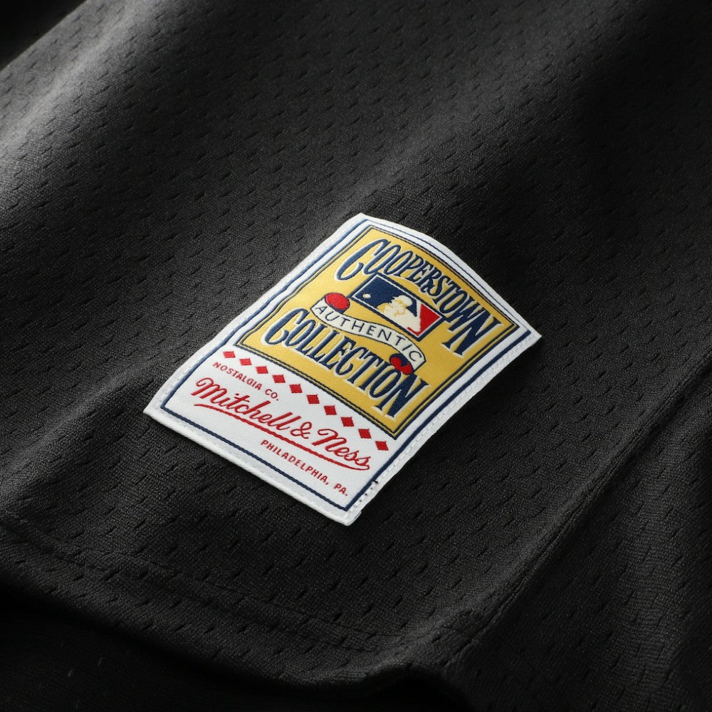 Craig Biggio Houston Astros Mitchell & Ness Authentic Batting Practice Jersey | MLB For sale