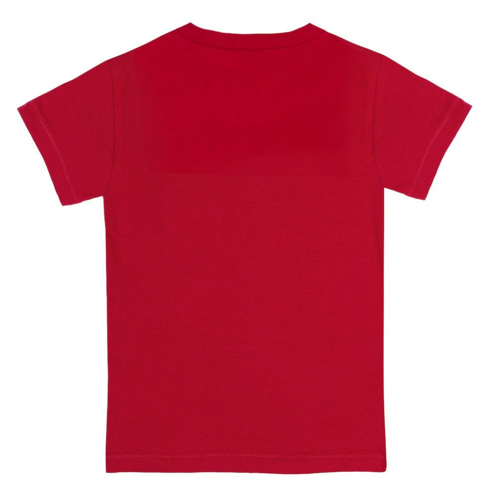 Boston Red Sox Tiny Turnip Youth Bronto T-Shirt | MLB New