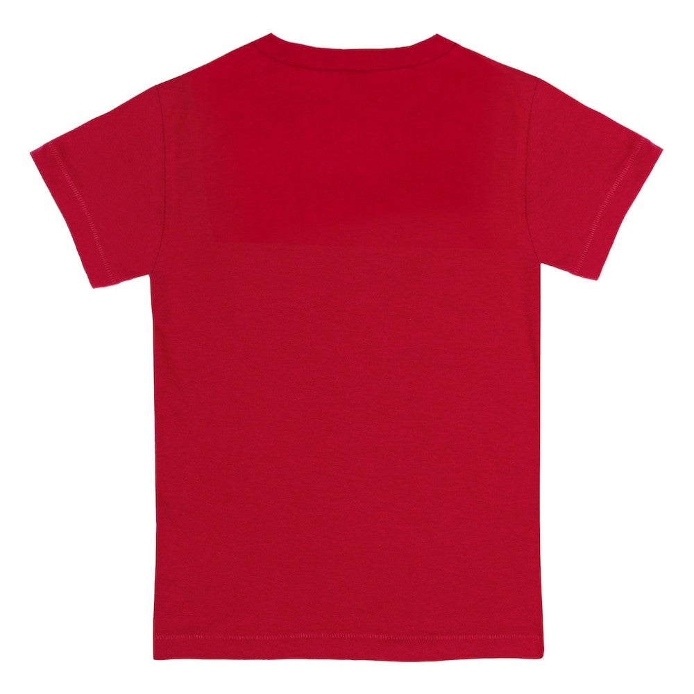 St. Louis Cardinals Tiny Turnip Youth Stacked T-Shirt | MLB New