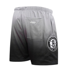 Brooklyn Nets Pro Standard Ombre Mesh Shorts On Sale