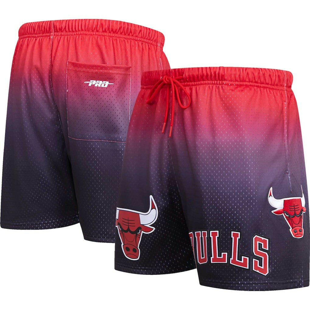 Chicago Bulls Pro Standard Ombre Mesh Shorts For Sale