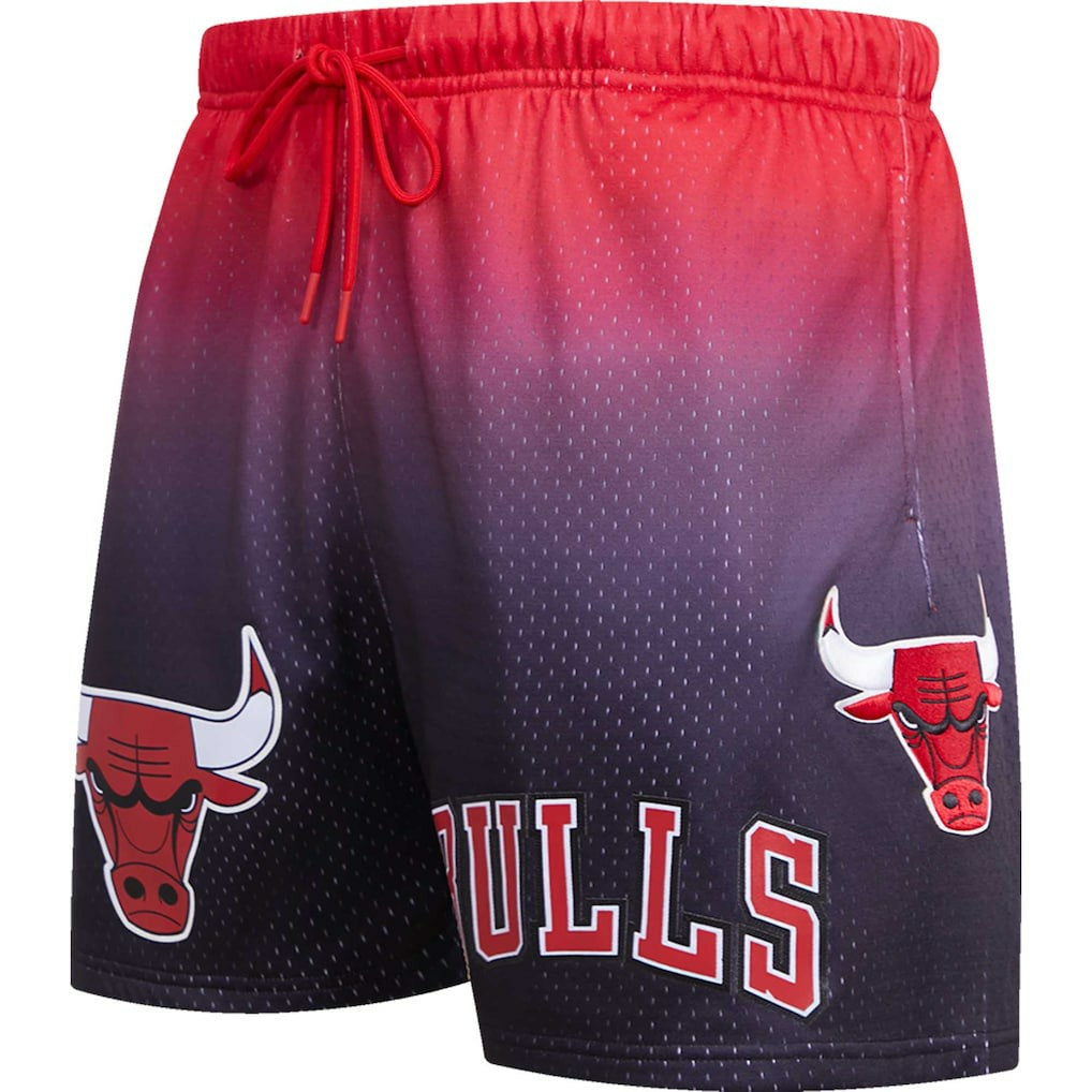 Chicago Bulls Pro Standard Ombre Mesh Shorts For Sale