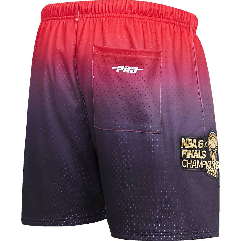 Chicago Bulls Pro Standard Ombre Mesh Shorts For Sale