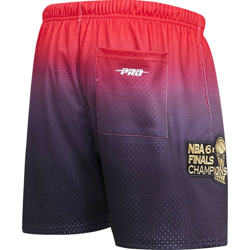 Chicago Bulls Pro Standard Ombre Mesh Shorts For Sale