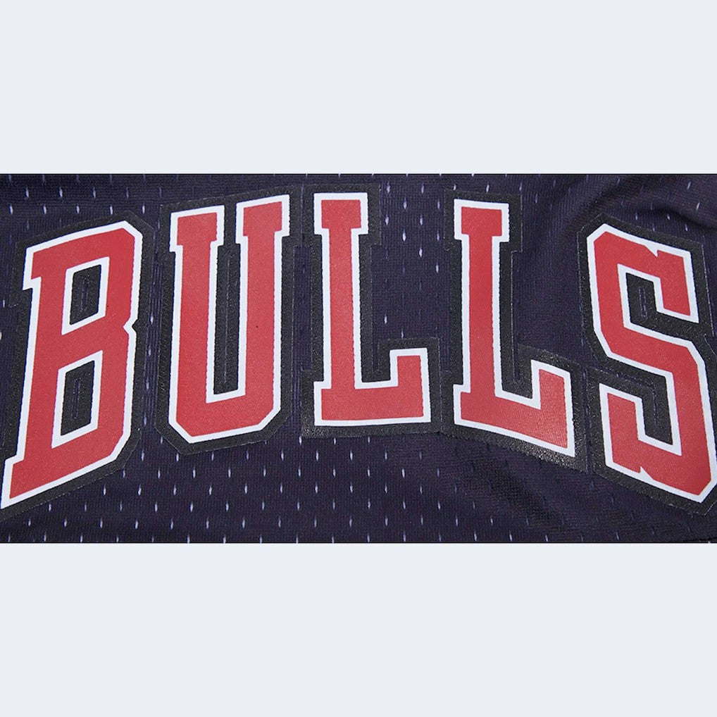 Chicago Bulls Pro Standard Ombre Mesh Shorts For Sale