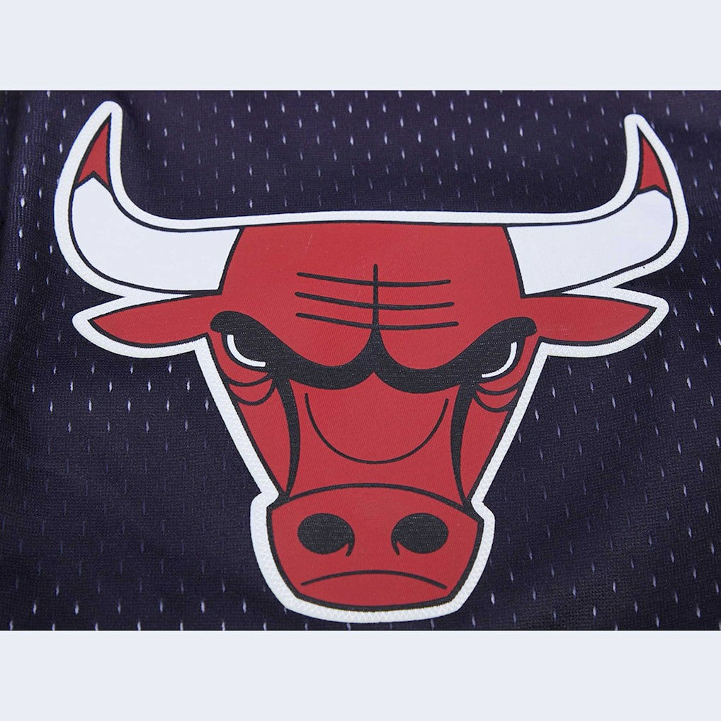 Chicago Bulls Pro Standard Ombre Mesh Shorts For Sale