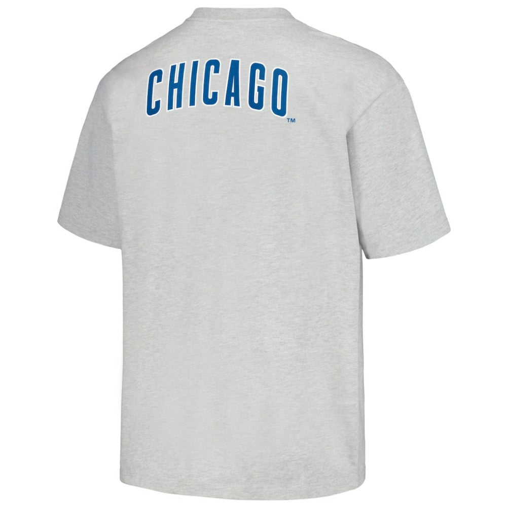 Chicago Cubs PLEASURES Mascot T-Shirt | MLB Near me