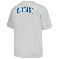 Chicago Cubs PLEASURES Mascot T-Shirt | MLB Near me
