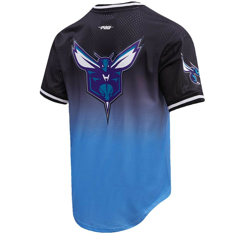 LaMelo Ball Charlotte Hornets Post Ombre Name & Number T-Shirt On Sale
