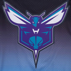 LaMelo Ball Charlotte Hornets Post Ombre Name & Number T-Shirt On Sale