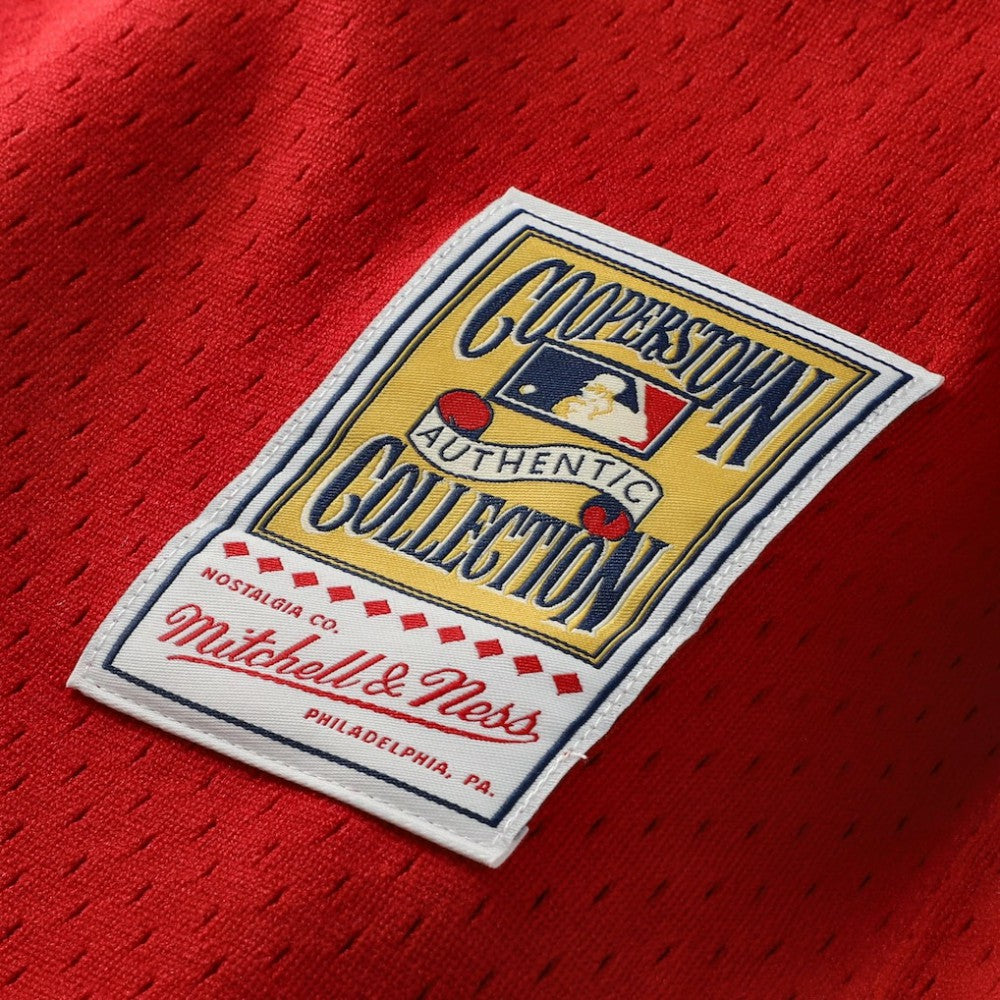 Johnny Bench Cincinnati Reds Mitchell & Ness Authentic Batting Practice Jersey | MLB Shop