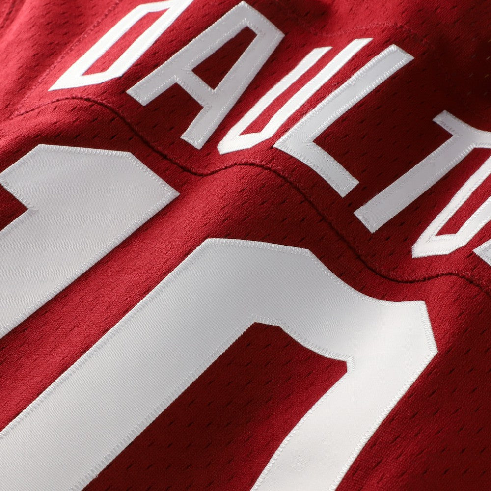 Darren Daulton Philadelphia Phillies Mitchell & Ness Authentic Batting Practice Jersey | MLB Sale