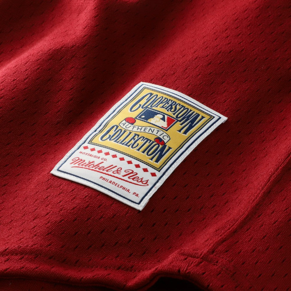 Darren Daulton Philadelphia Phillies Mitchell & Ness Authentic Batting Practice Jersey | MLB Sale