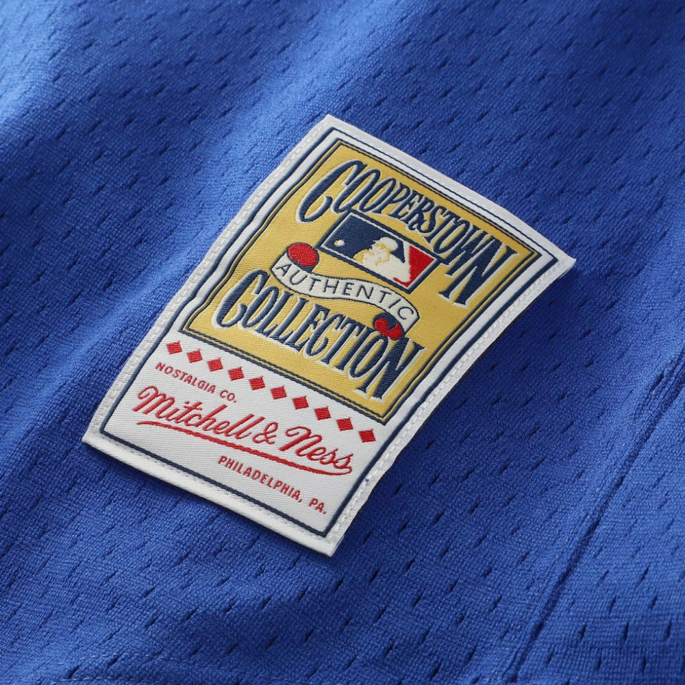 Nolan Ryan Texas Rangers Mitchell & Ness Authentic Batting Practice Jersey | MLB Sale