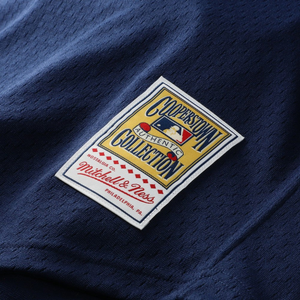 Craig Biggio Houston Astros Mitchell & Ness Authentic Batting Practice Jersey | MLB Near me