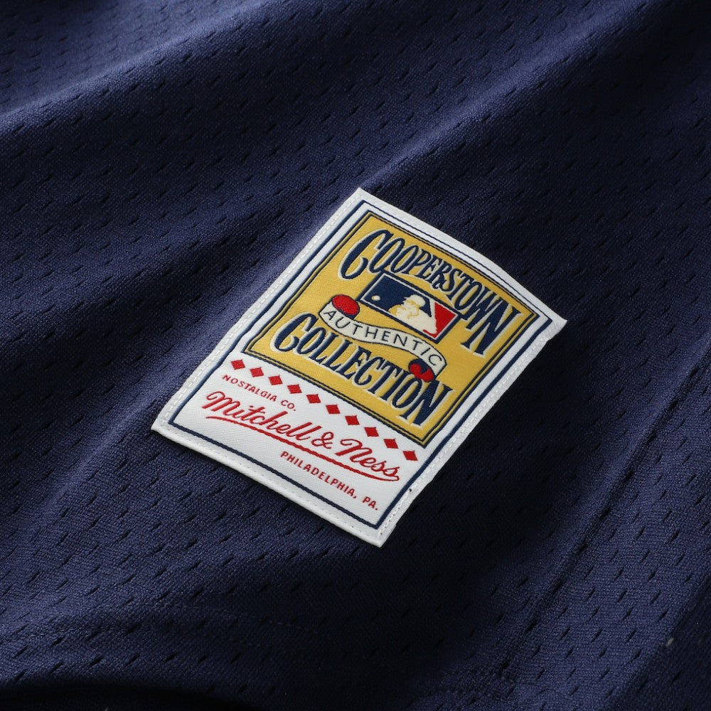 Alan Trammell Detroit Tigers Mitchell & Ness Authentic Batting Practice Jersey | MLB Near me