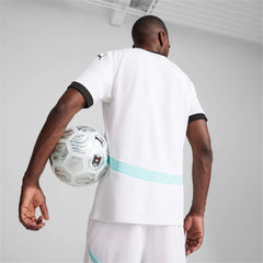 2024-25 Austria Men's Stadium Away Soccer Jersey - Puma